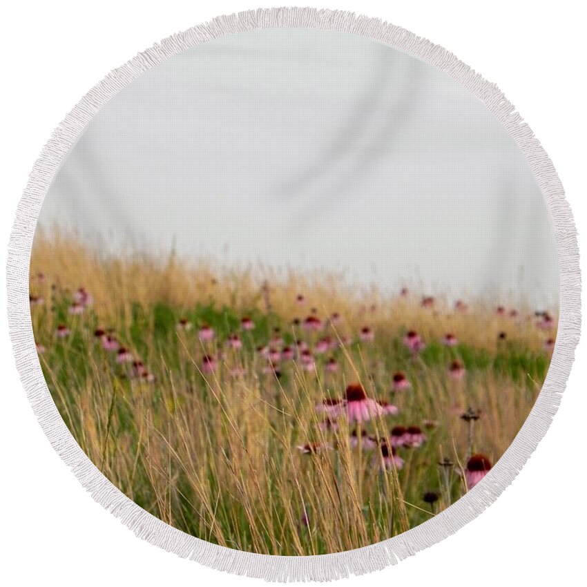 Purple Cone Flowers Round Beach Towel featuring the photograph Cone Flower Field by Amanda R Wright