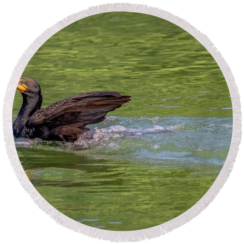 Cormorant Round Beach Towel featuring the photograph Cormorant Strikes a Pose by Marcy Wielfaert