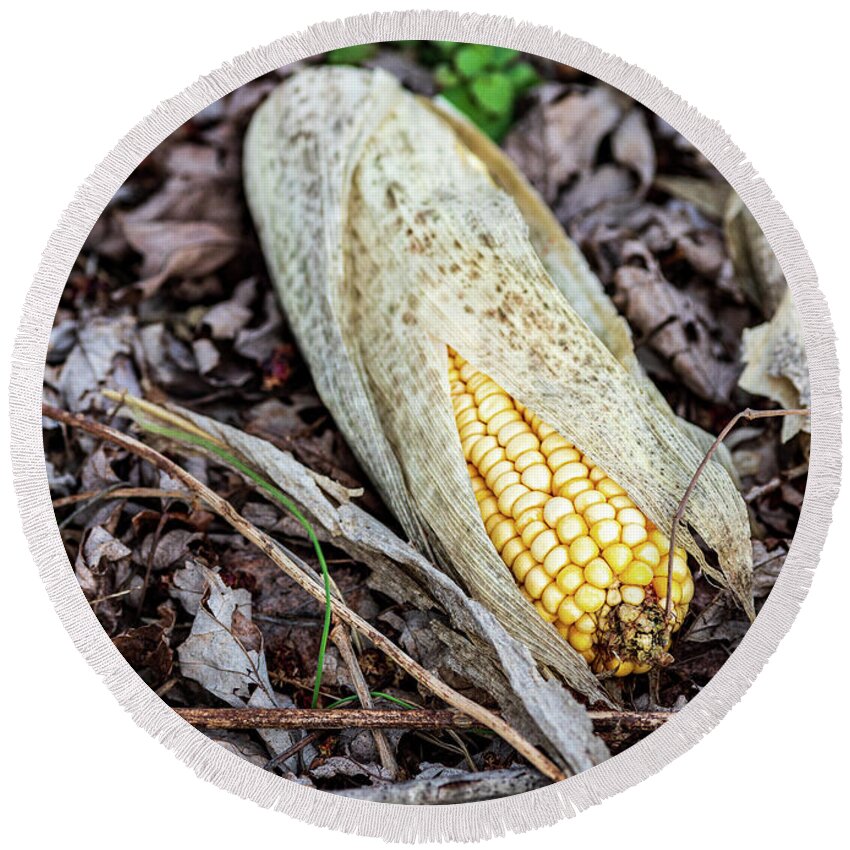 Corn Round Beach Towel featuring the photograph Corn on the Grounds by Amelia Pearn