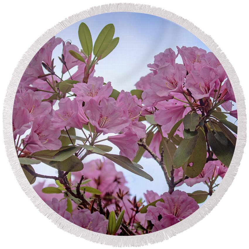 Rhododendron Round Beach Towel featuring the photograph Cornell Botanic Gardens #6 by Mindy Musick King