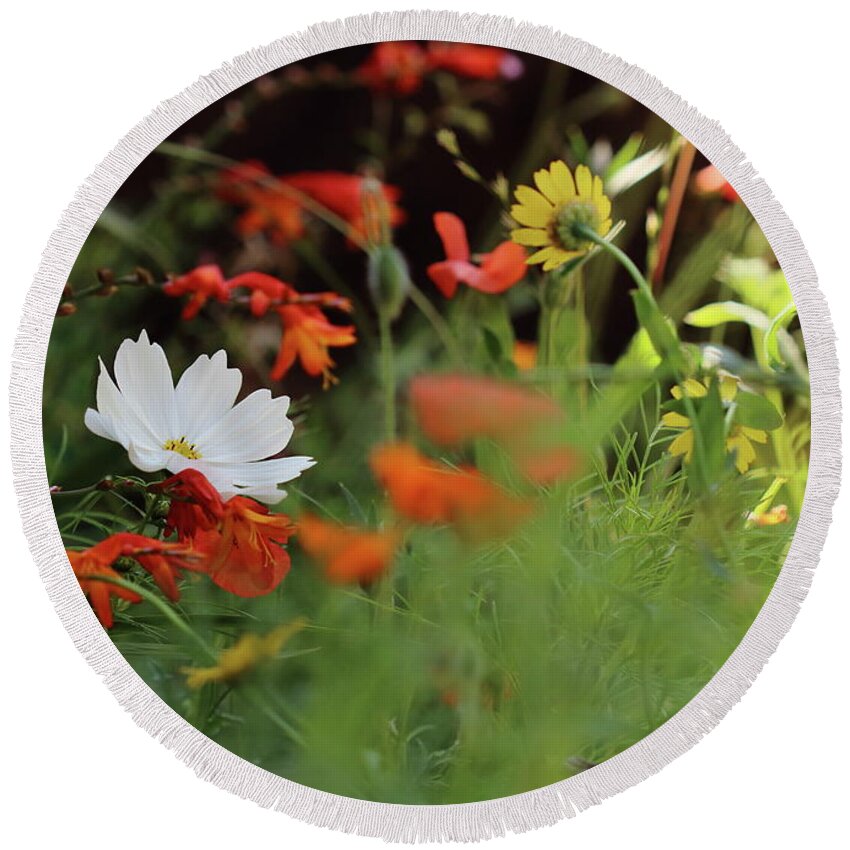 Flowers Flora Wildflowers Round Beach Towel featuring the photograph Cosmos and Crocosmia by Stephen Melia