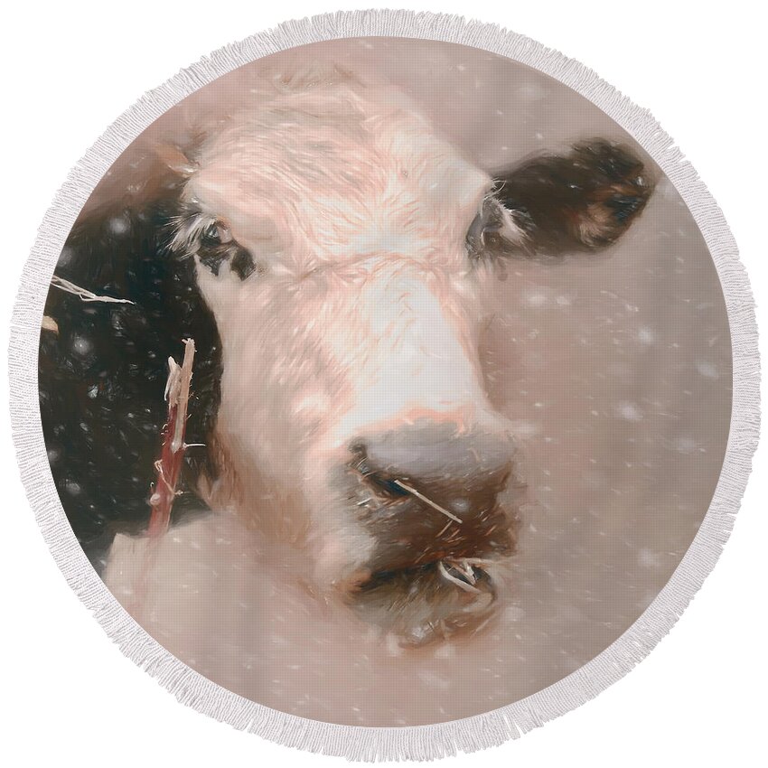 Cow Round Beach Towel featuring the photograph Cow in a Snow Storm by Marjorie Whitley