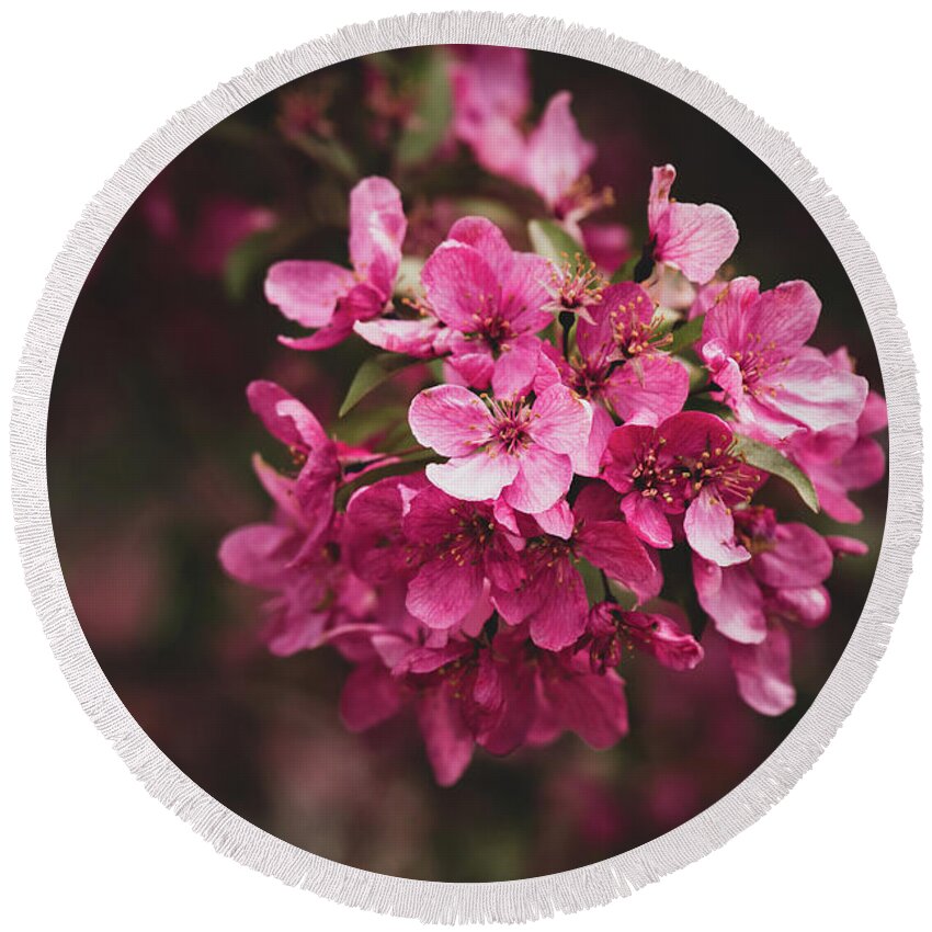 Spring Round Beach Towel featuring the photograph Crabapple by Rose Guinther