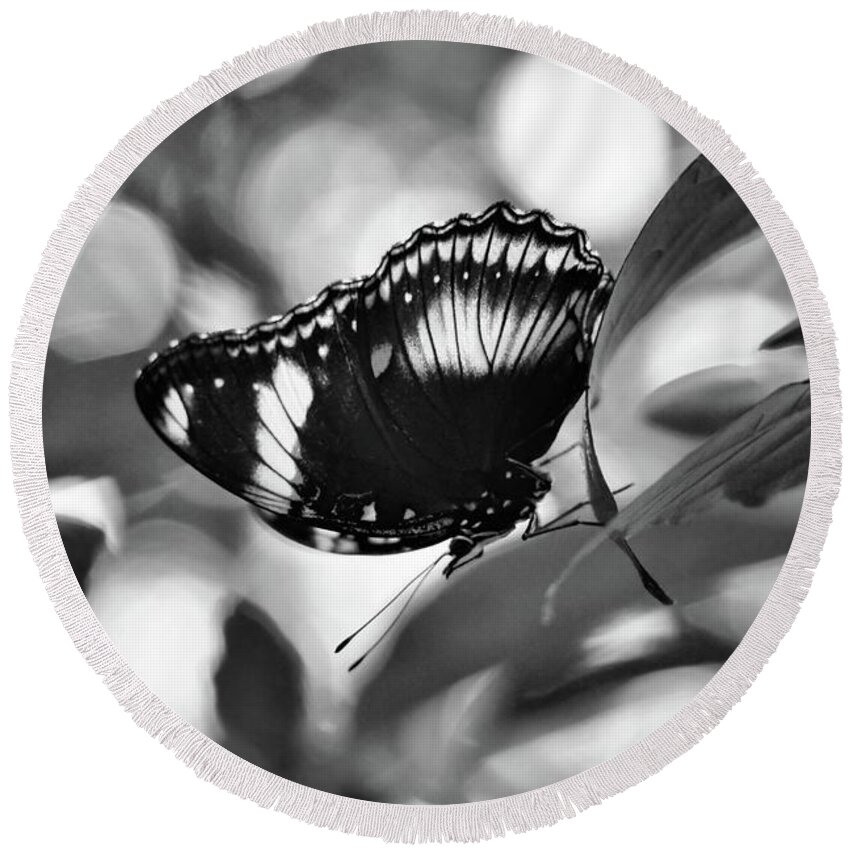 Black And White Round Beach Towel featuring the photograph Cracker Butterfly in Black and White by Sandra Huston