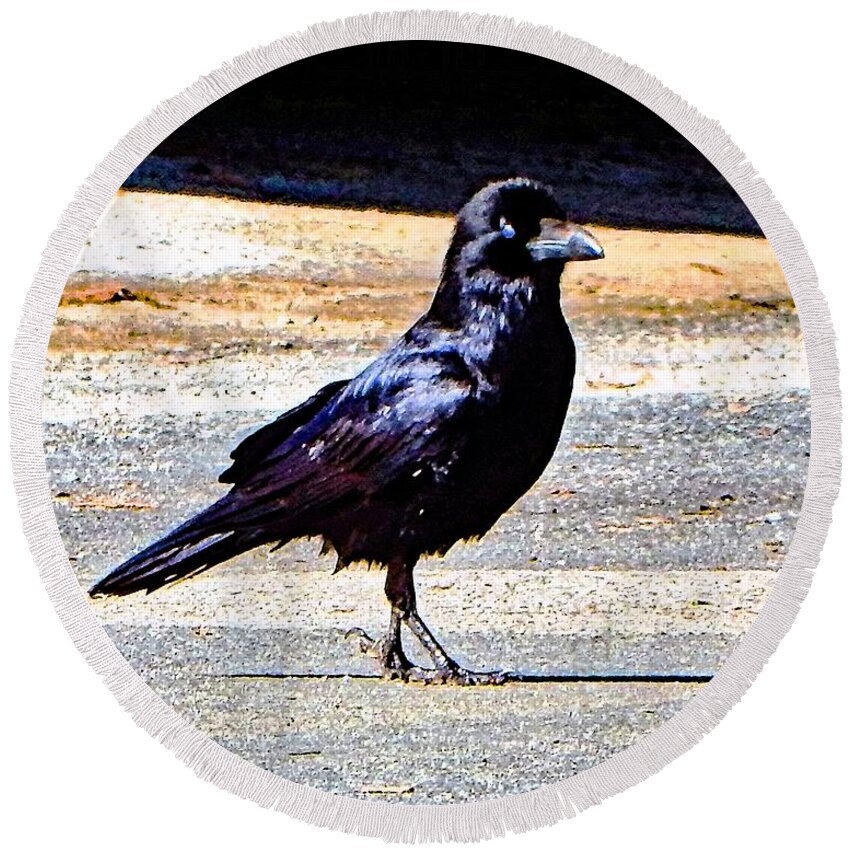 Bird Round Beach Towel featuring the photograph Crow Crossing The Street by Andrew Lawrence