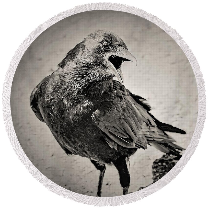 Crow Bird Black White Round Beach Towel featuring the photograph Crow by John Linnemeyer