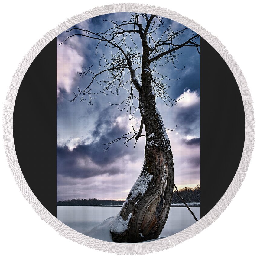 Tree Round Beach Towel featuring the photograph The Solo Curb Tree On The River by Carl Marceau