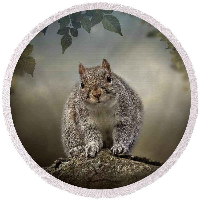 Gray Squirrel Round Beach Towel featuring the digital art Curious Sam by Maggy Pease