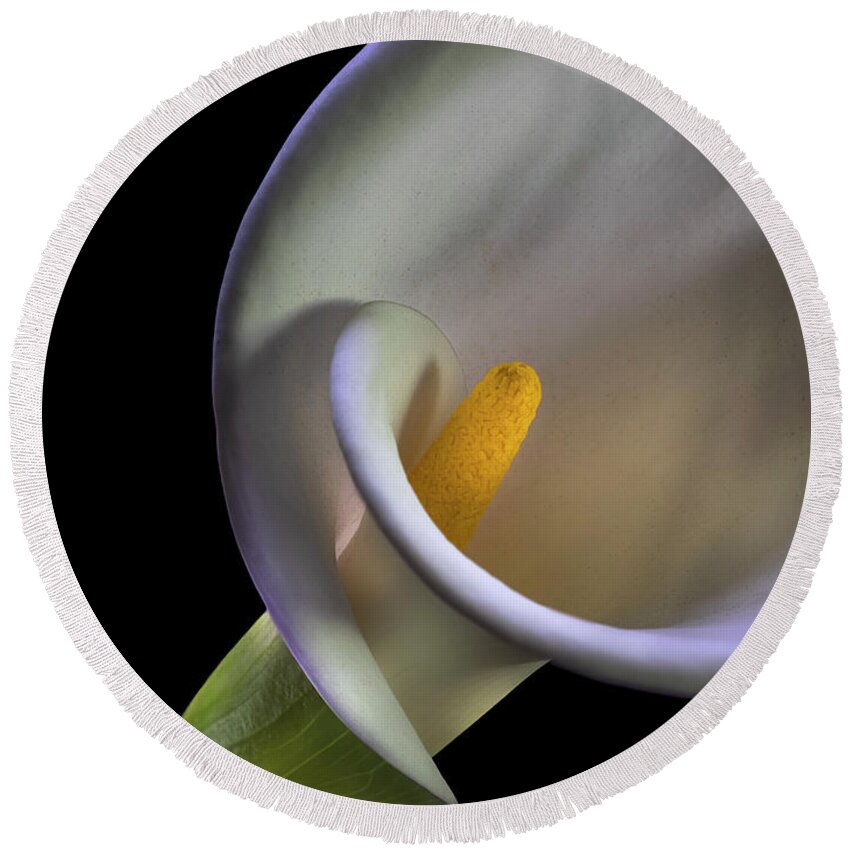 Curves Round Beach Towel featuring the photograph Curves Of A Calla Lily by Endre Balogh