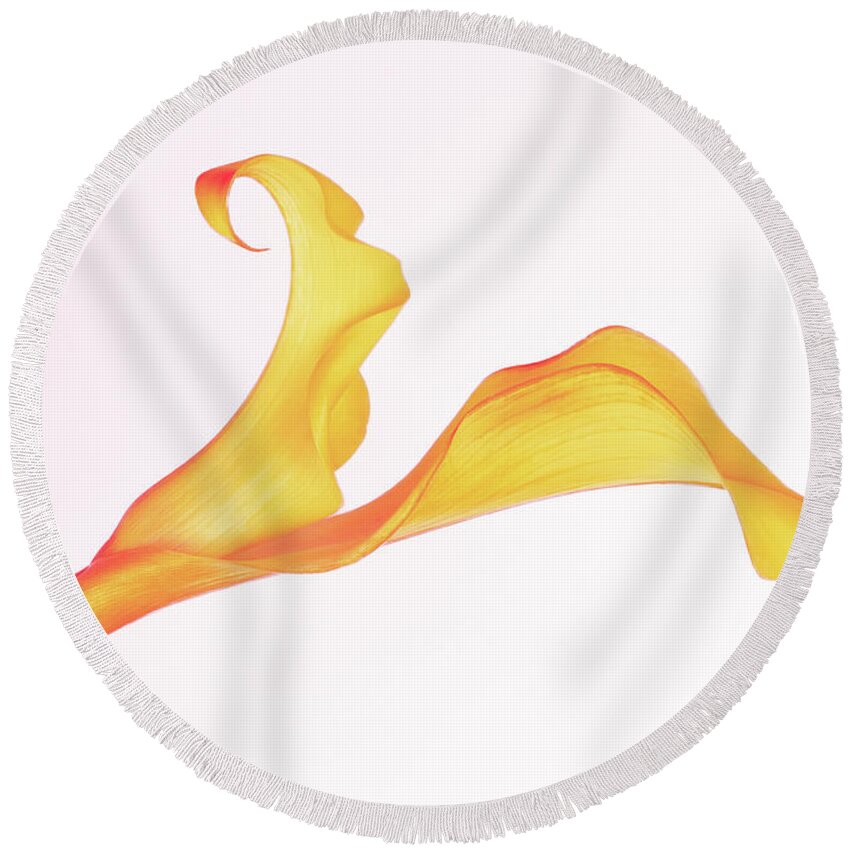 Calla Lily Round Beach Towel featuring the photograph Curves Of Calla by Elvira Peretsman