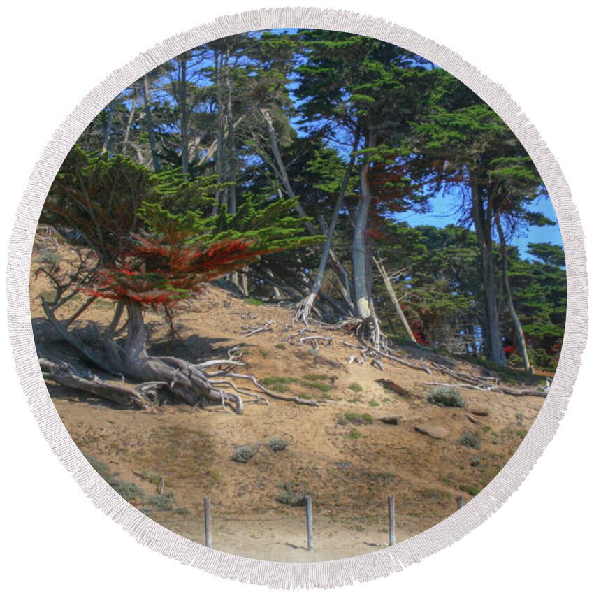 Cypress Round Beach Towel featuring the photograph Cypress Trees by Sally Bauer