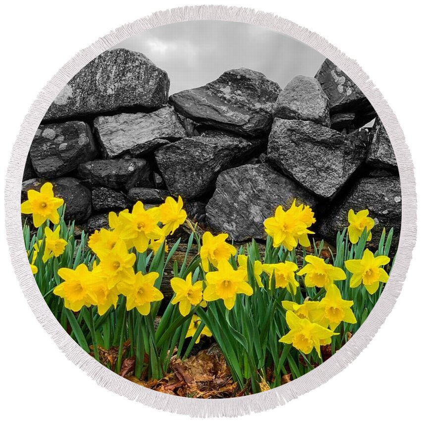Daffodils Round Beach Towel featuring the photograph Daffodils of spring by Deb Bryce