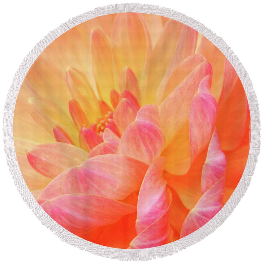 Florals Round Beach Towel featuring the photograph Dahlia - Floral Close Up by Rehna George