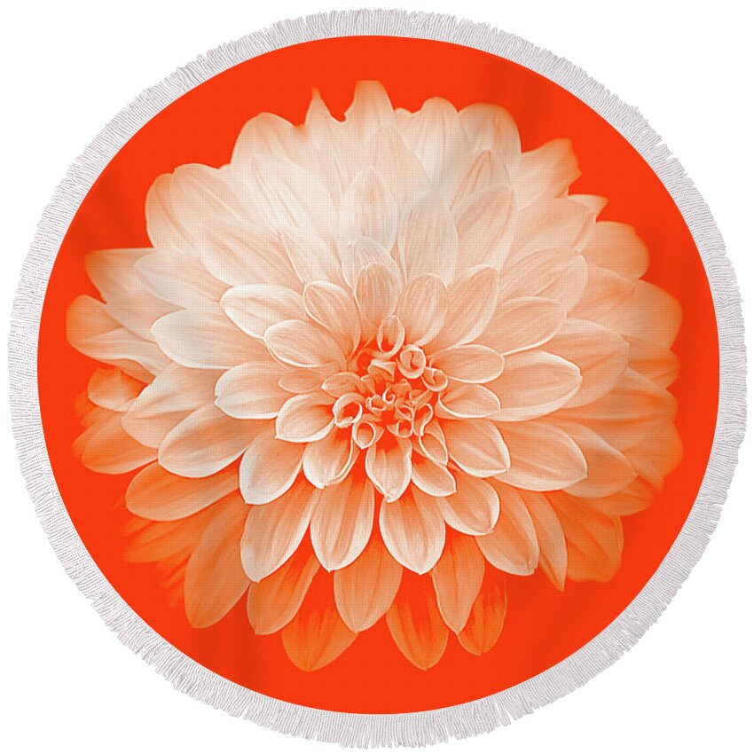 Art Round Beach Towel featuring the photograph Dahlia IV on Orange Background by Joan Han