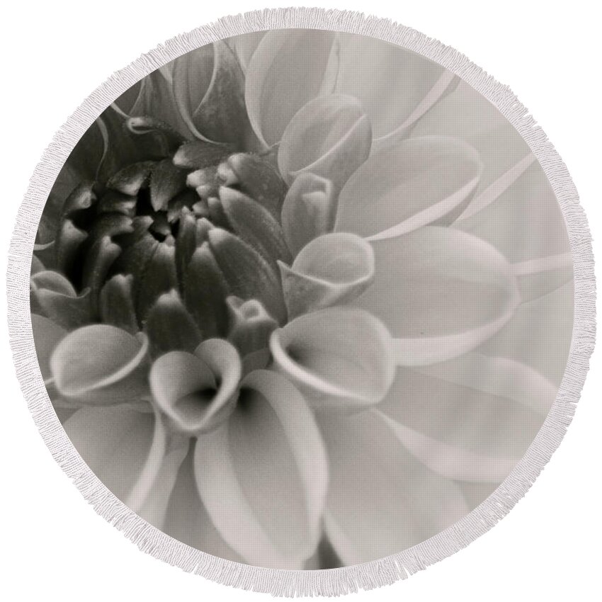 Art Round Beach Towel featuring the photograph Dahlia V Black and White by Joan Han