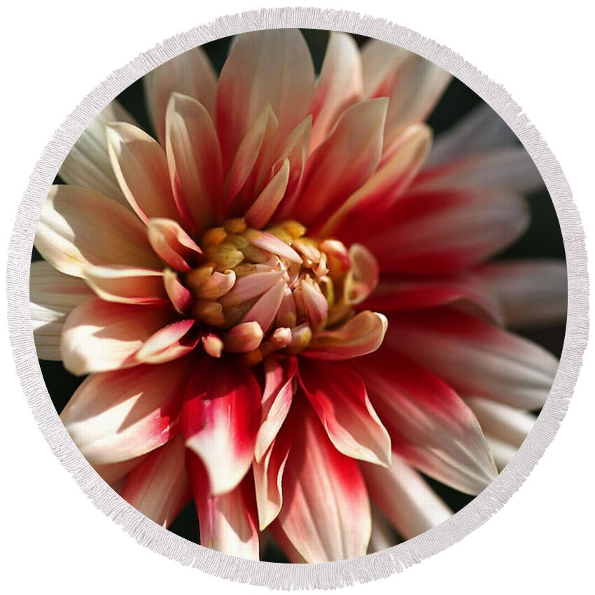 Fire And Ice Round Beach Towel featuring the photograph Dahlia Warmth by Joy Watson