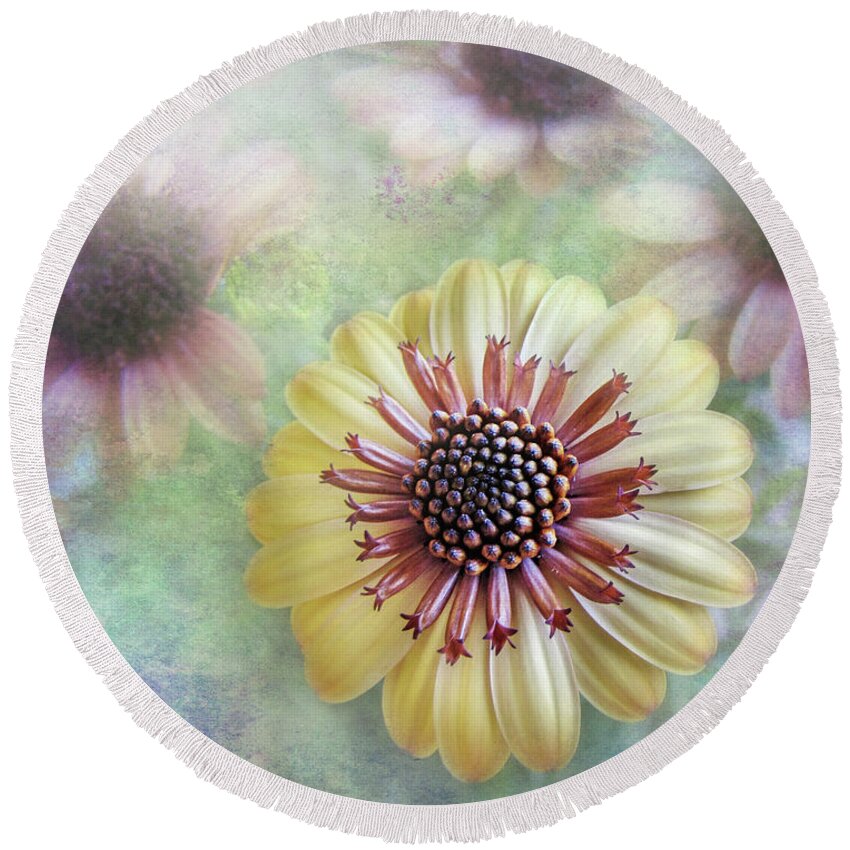 Bed Room Decor Round Beach Towel featuring the photograph Daisy Burst by David and Carol Kelly