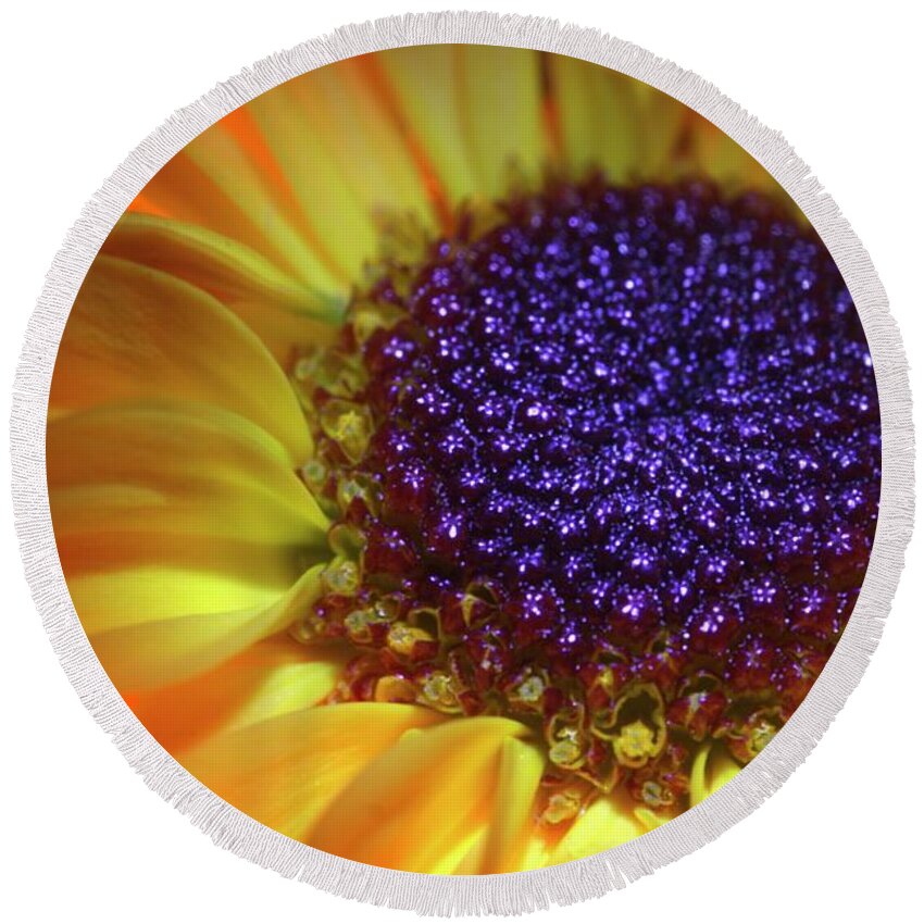 Daisy Round Beach Towel featuring the photograph Daisy Yellow Orange by Julie Powell