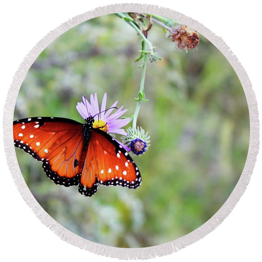 Cochise Stronghold Round Beach Towel featuring the photograph Danaus gilippus by Robert Harris