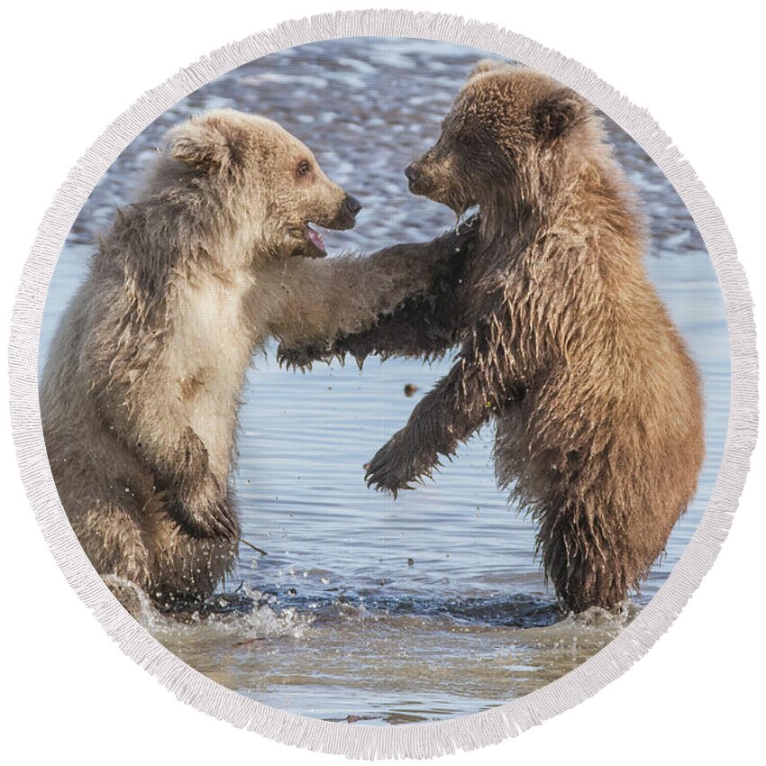 Bear Round Beach Towel featuring the photograph Dancing Bears by Chris Scroggins
