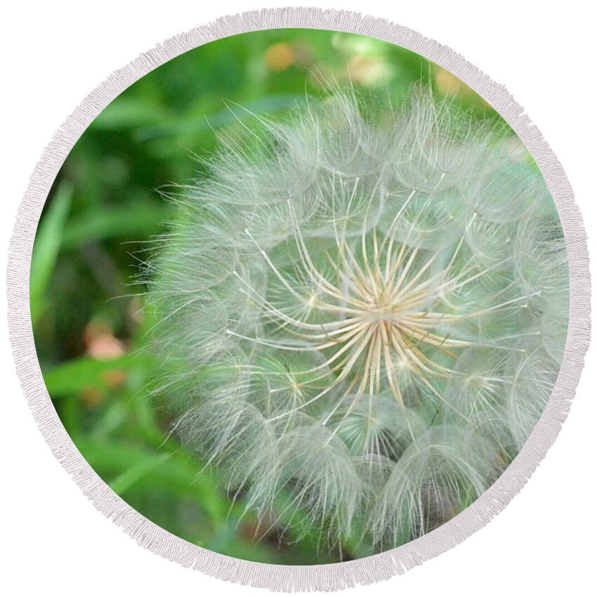 Nature Round Beach Towel featuring the photograph Dandelion 4 by Amy Fose