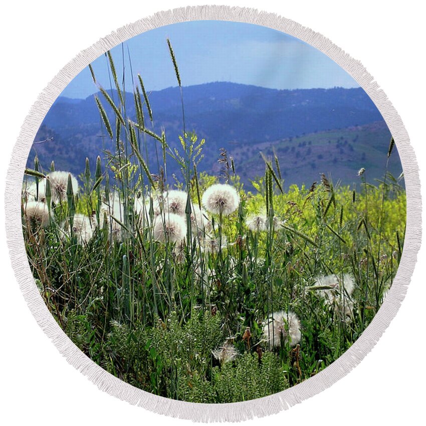 Dandelion Round Beach Towel featuring the photograph Dandelions and Mountains by Kathryn Alexander MA