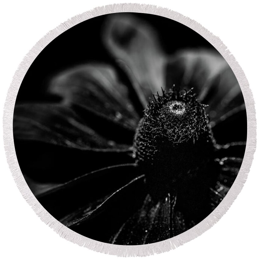 Black Round Beach Towel featuring the photograph Dark Floral by Amelia Pearn