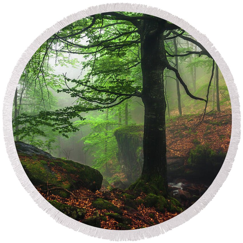 Fog Round Beach Towel featuring the photograph Dark Forest by Evgeni Dinev