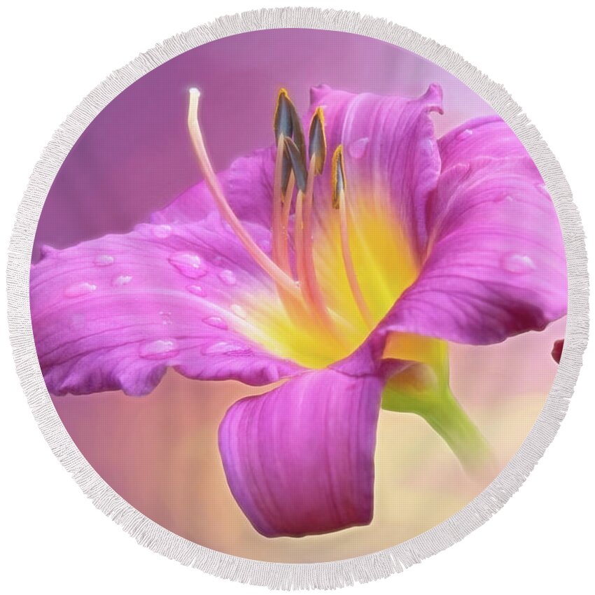 Little Grapette Daylily Round Beach Towel featuring the photograph Daylily Delight by Anita Pollak