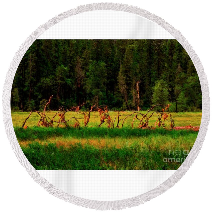 Yosemite Round Beach Towel featuring the photograph Dead Tree Resting Place Yosemite by Blake Richards