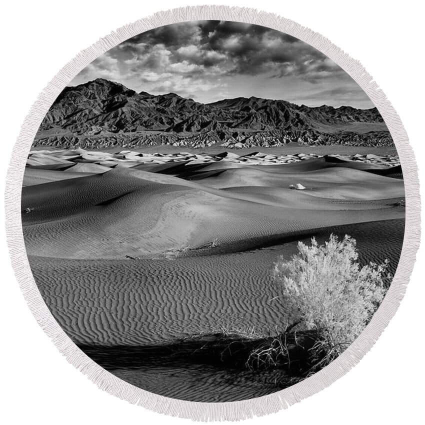 Landscape Round Beach Towel featuring the photograph Death Valley Shrub by Jon Glaser