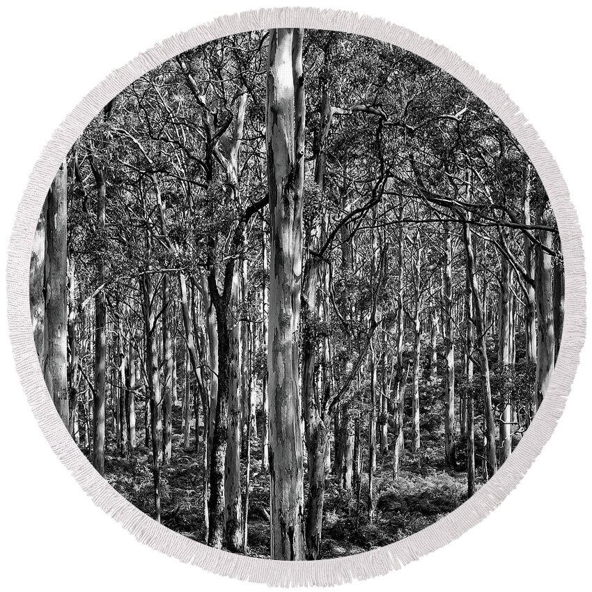 Boranup Forest Round Beach Towel featuring the photograph Deep Forest BW Triptych_2 by Az Jackson