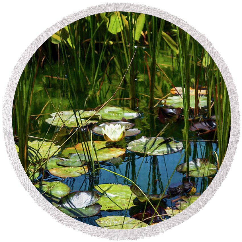 Water Lily Round Beach Towel featuring the photograph Deep in the Lily Pond by Bonnie Follett