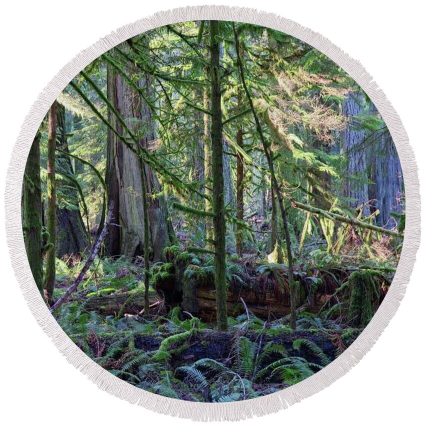 Landscape Round Beach Towel featuring the photograph Deep In The Old Growth by Allan Van Gasbeck