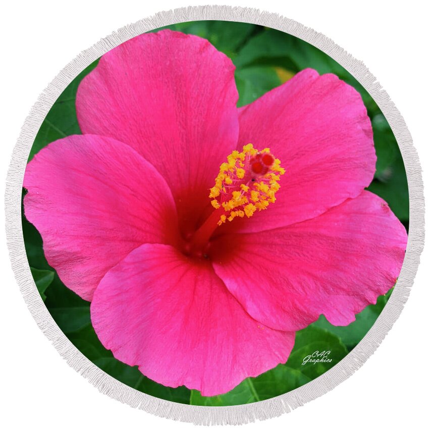 Hibiscus Round Beach Towel featuring the photograph Deep Pink Hibiscus by CAC Graphics