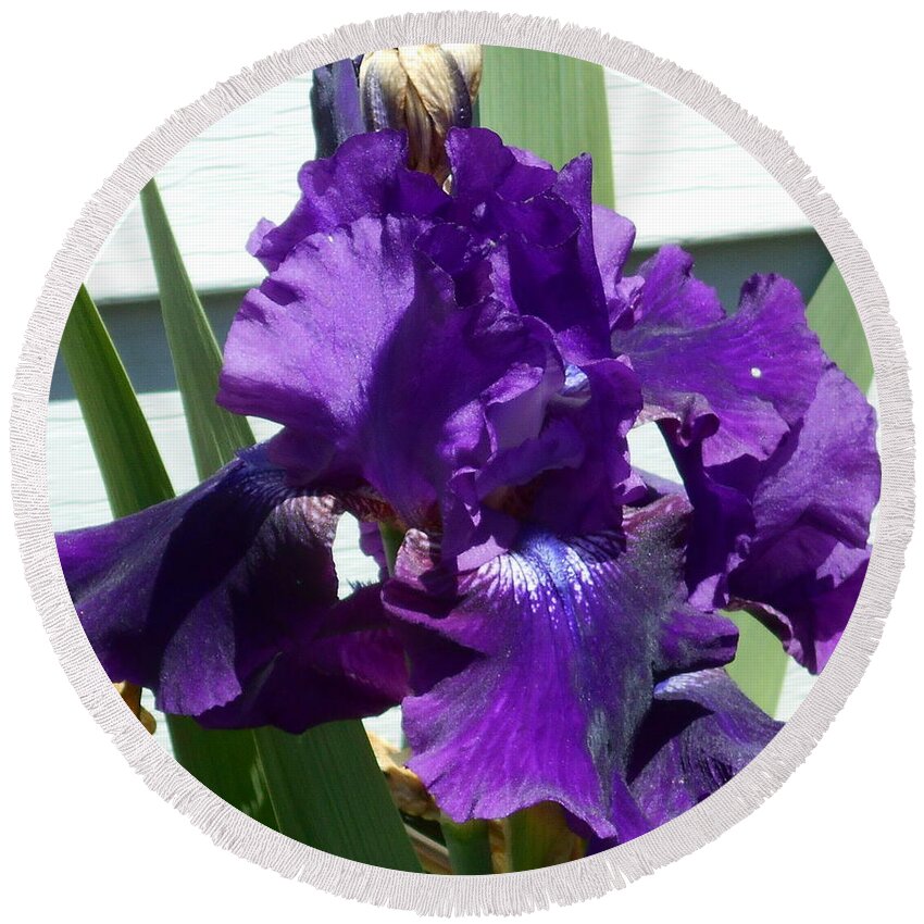 Flower Round Beach Towel featuring the photograph Deep Purple Iris by Barbara Keith