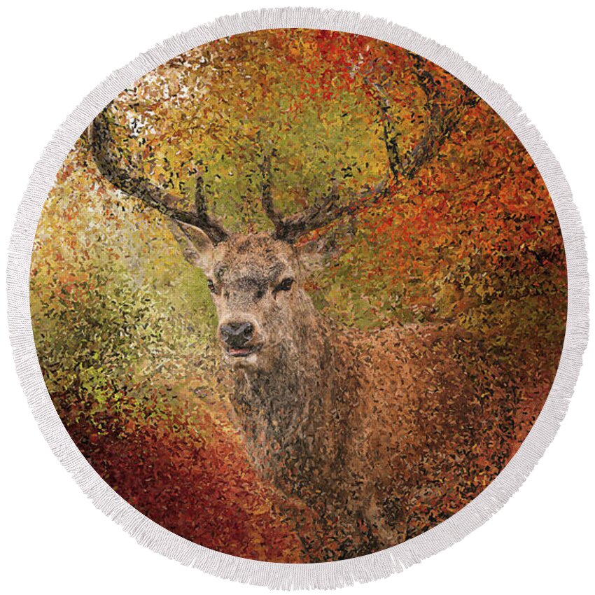 Deer Round Beach Towel featuring the painting Deer in the autumn forest by Alex Mir