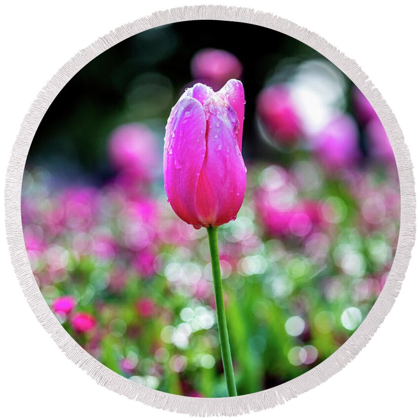 Pink Tulip Flowers Round Beach Towel featuring the photograph Delightful by Az Jackson