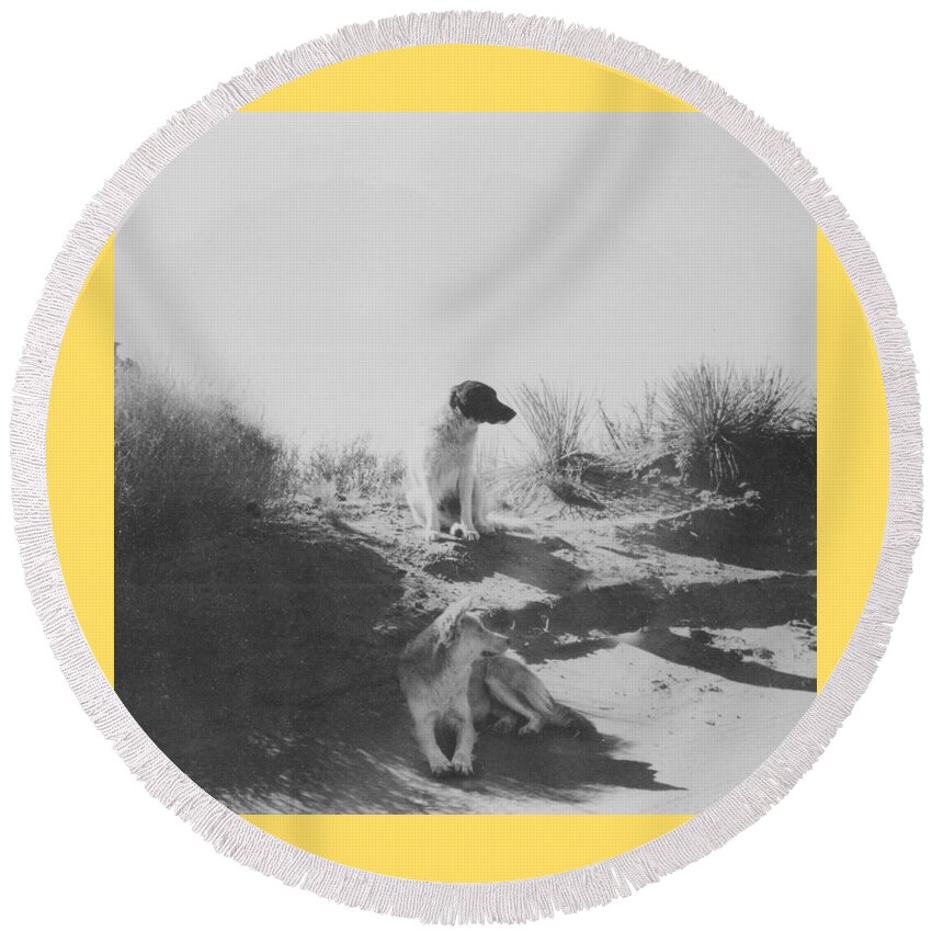 Mans Best Friend Round Beach Towel featuring the photograph Desert Dogs by Thomas Dans