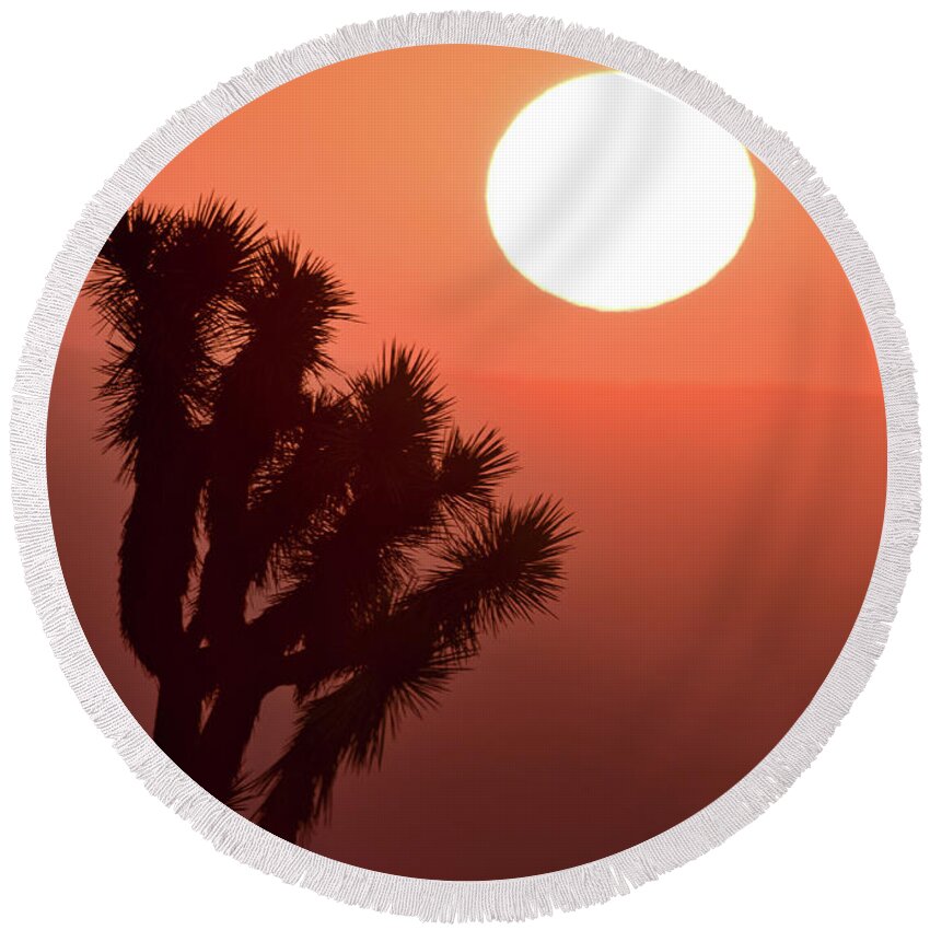  Round Beach Towel featuring the photograph Desert Sunrise by Vincent Bonafede