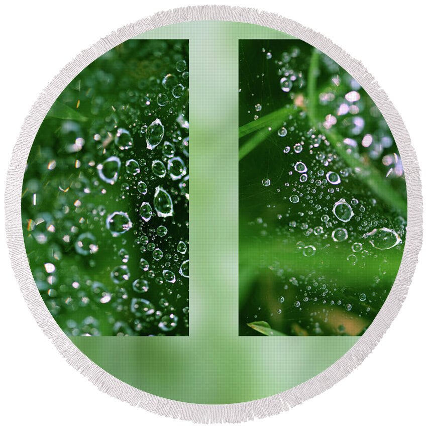 Dew Round Beach Towel featuring the photograph Dew On Web by Karen Rispin