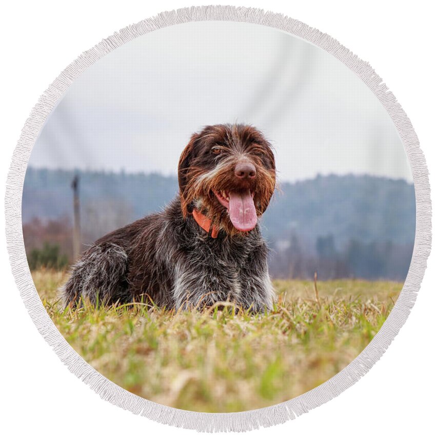 Bohemian Wire Round Beach Towel featuring the photograph Bohemian Wire is relaxing by Vaclav Sonnek