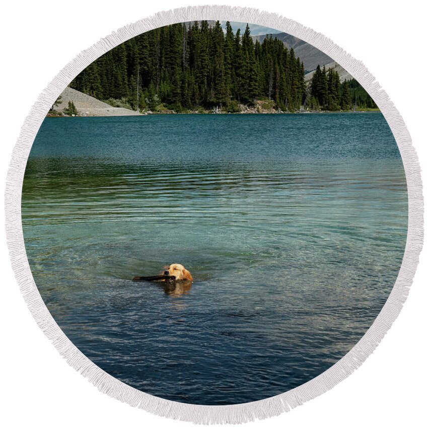 Dog Round Beach Towel featuring the photograph Dog in Elbow Lake, Alberta by Karen Rispin