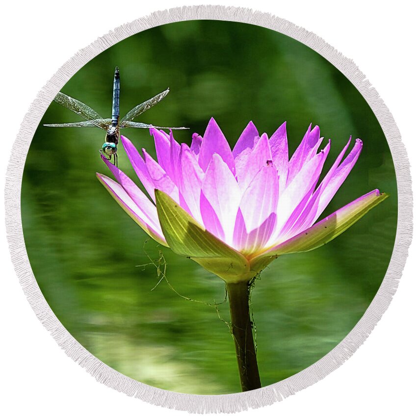 Dragonfly Round Beach Towel featuring the photograph Dragon and Lily by Bill Barber