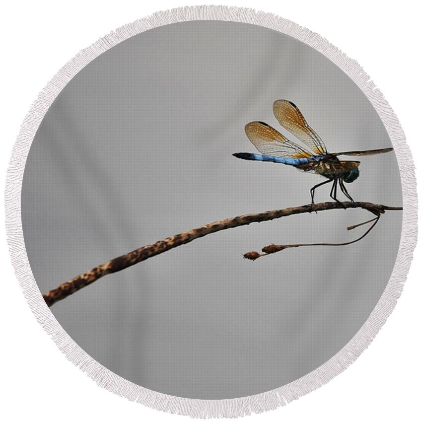 Photo Round Beach Towel featuring the photograph Dragonfly Over Lake by Evan Foster