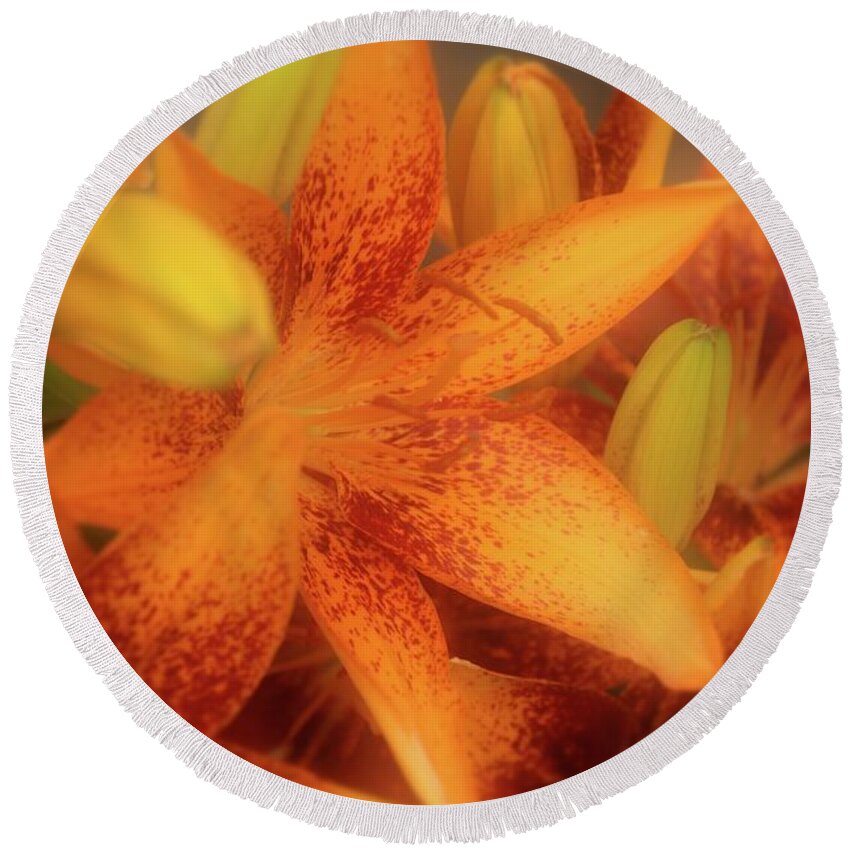 Lily Round Beach Towel featuring the photograph Dreamy Orange Sensation Lily by Angie Tirado