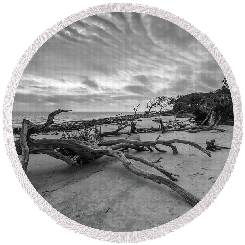 3-nature Round Beach Towel featuring the photograph Drift wood beach photograph by Louis Dallara