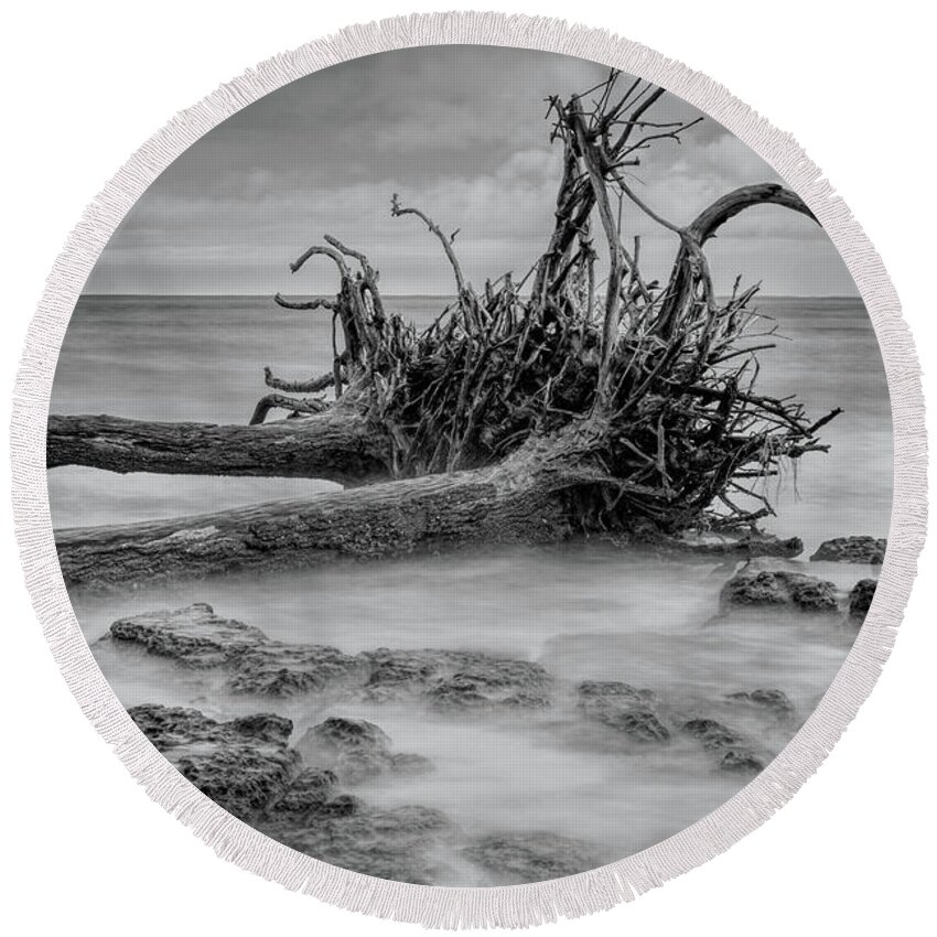 Black Round Beach Towel featuring the photograph Driftwood Beach in Black and White by Carolyn Hutchins