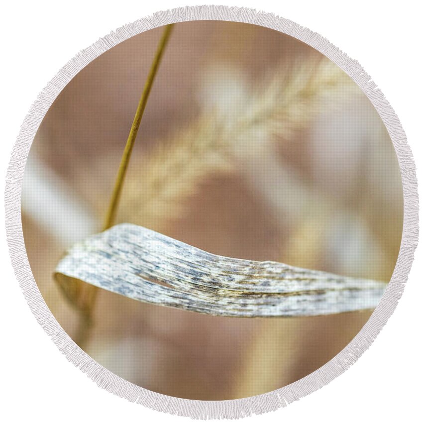 Nature Round Beach Towel featuring the photograph Dry Grass by Amelia Pearn