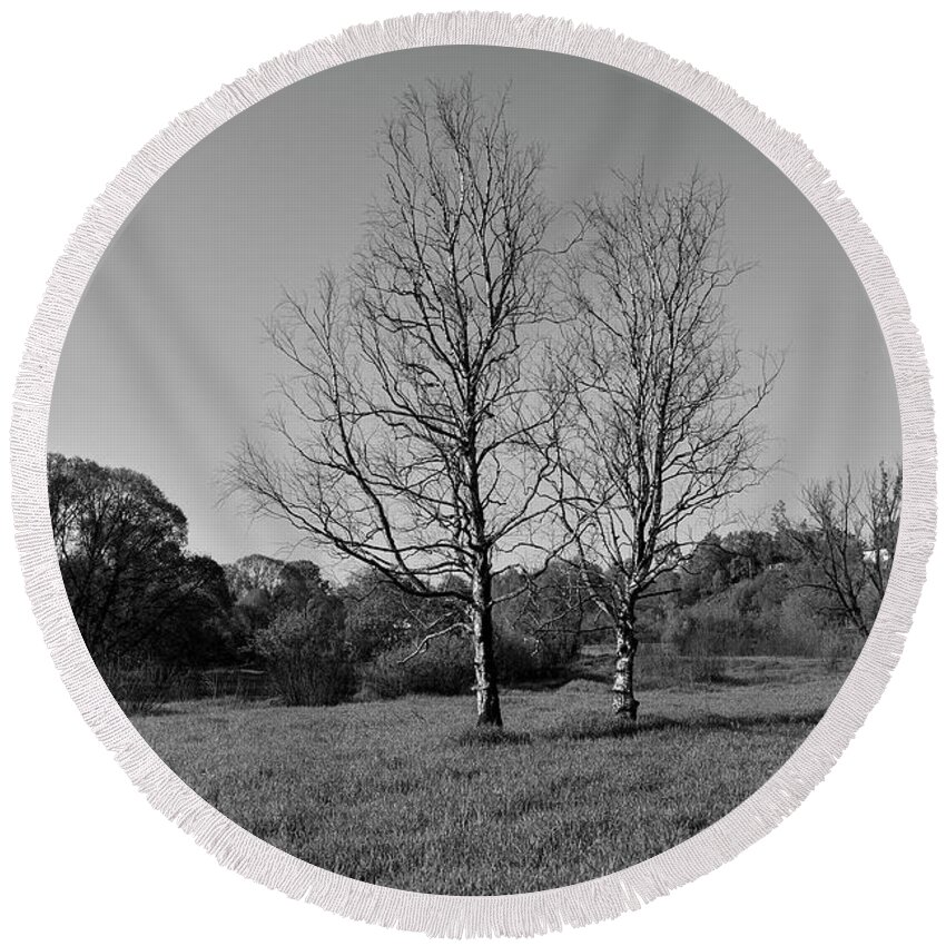 Trees Dry Out Over Time. B.w. Round Beach Towel featuring the photograph Dry trees. by Sergei Fomichev